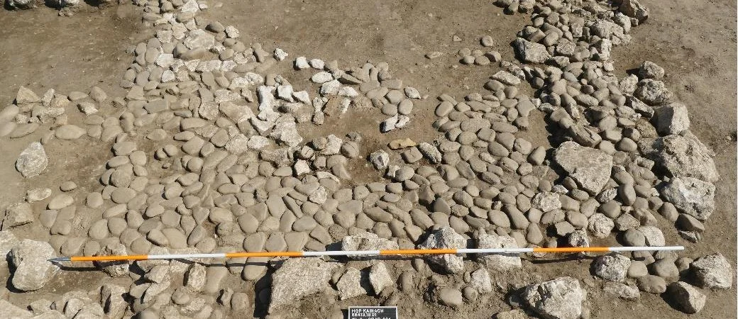 archaeowild