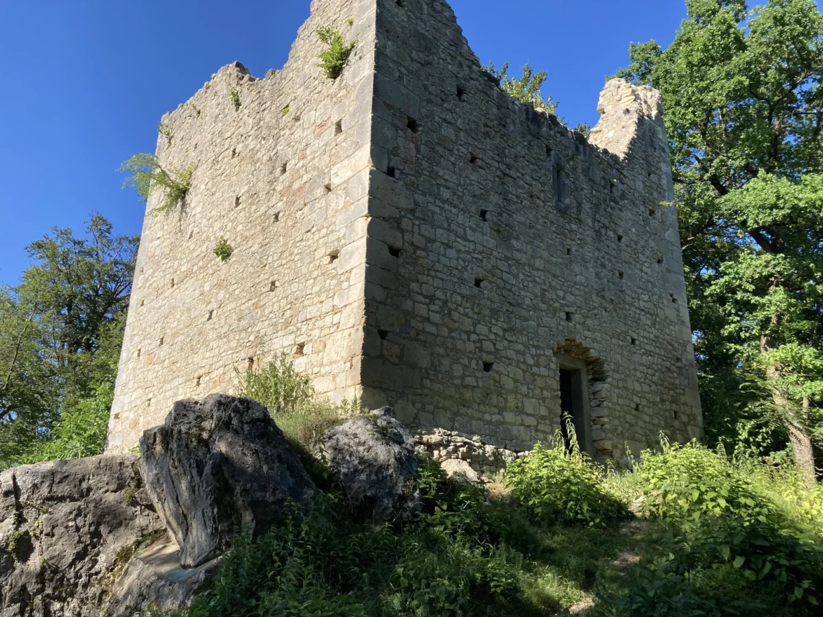 Alt-Wildon Turm Ruine